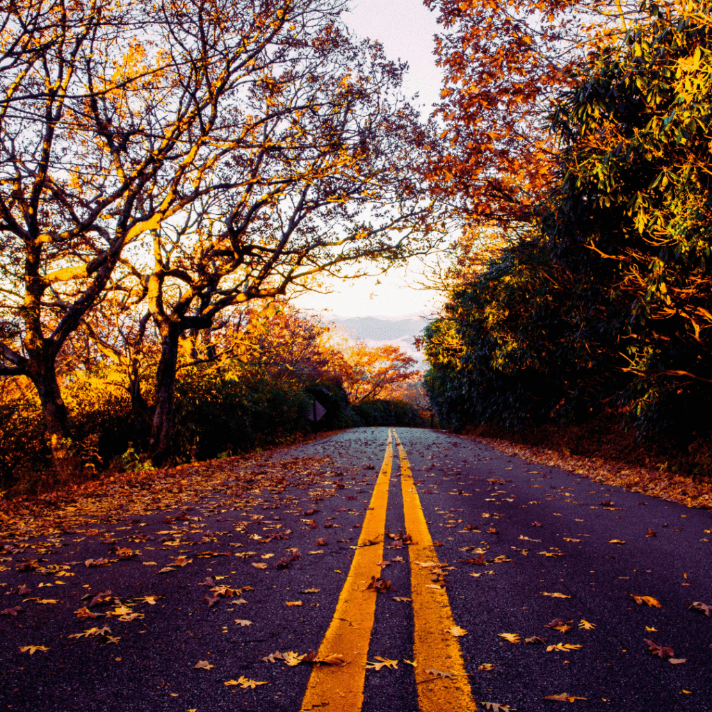 fall road in the Ozarks