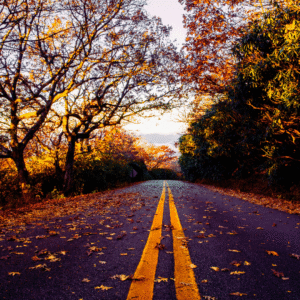 fall road in the Ozarks